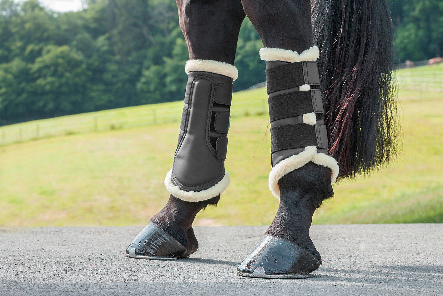 USG Dressage Boots