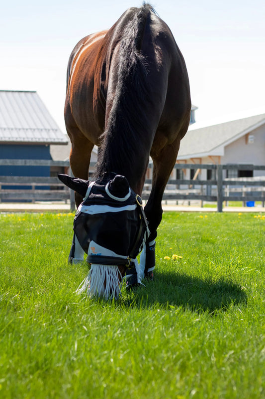 Arma Fly Turnout Socks