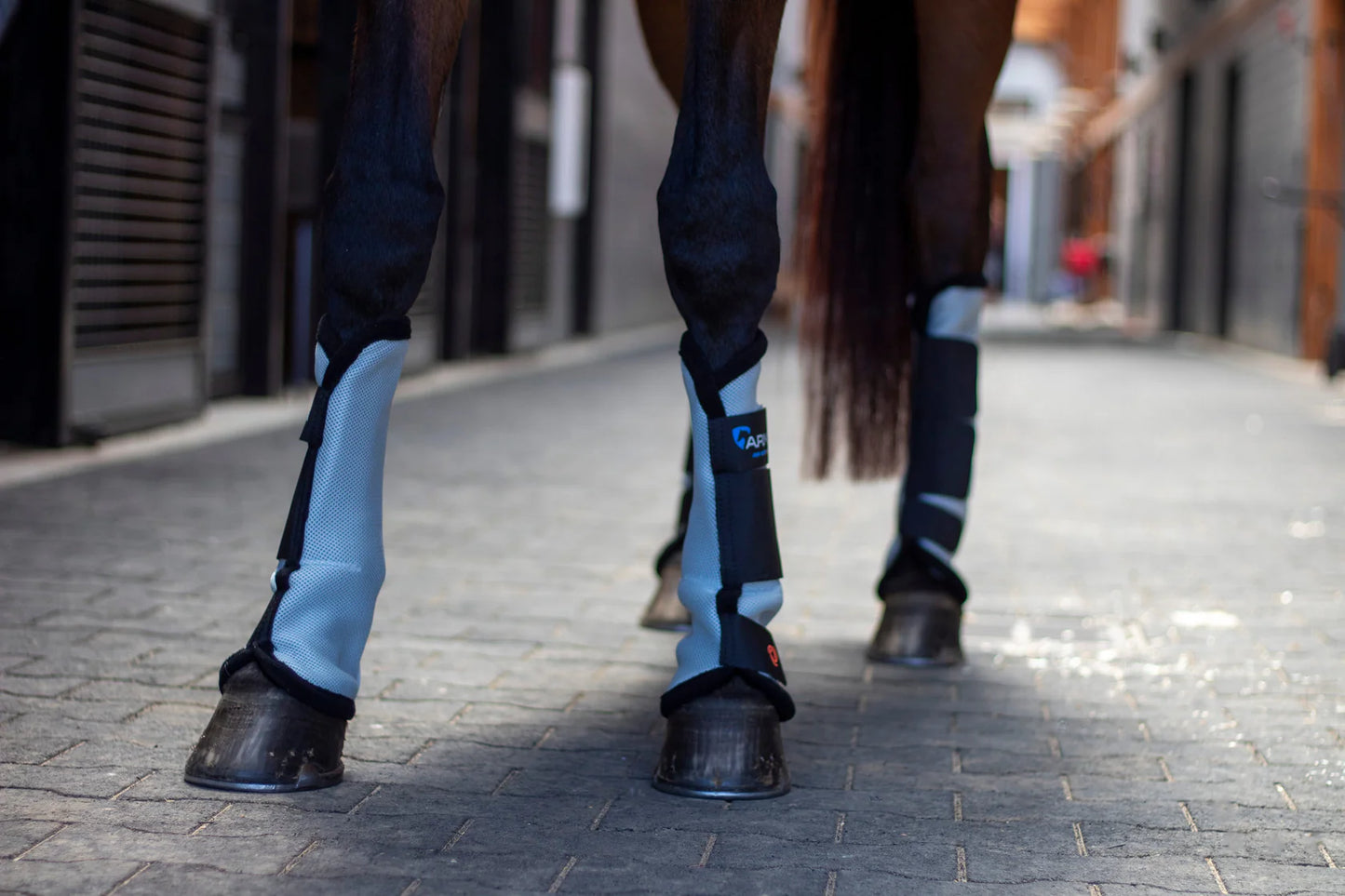 Arma Fly Turnout Socks