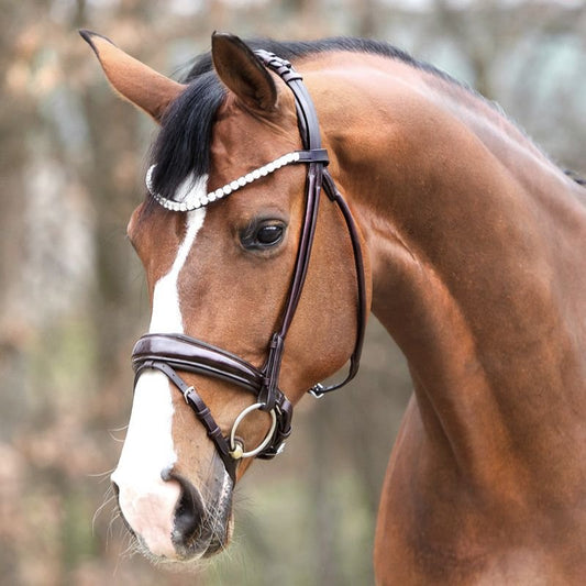 Kavalkade Florina Snaffle Bridle