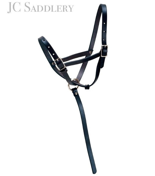 Leather Foal Slip Halter with Custom Engraved Nameplate