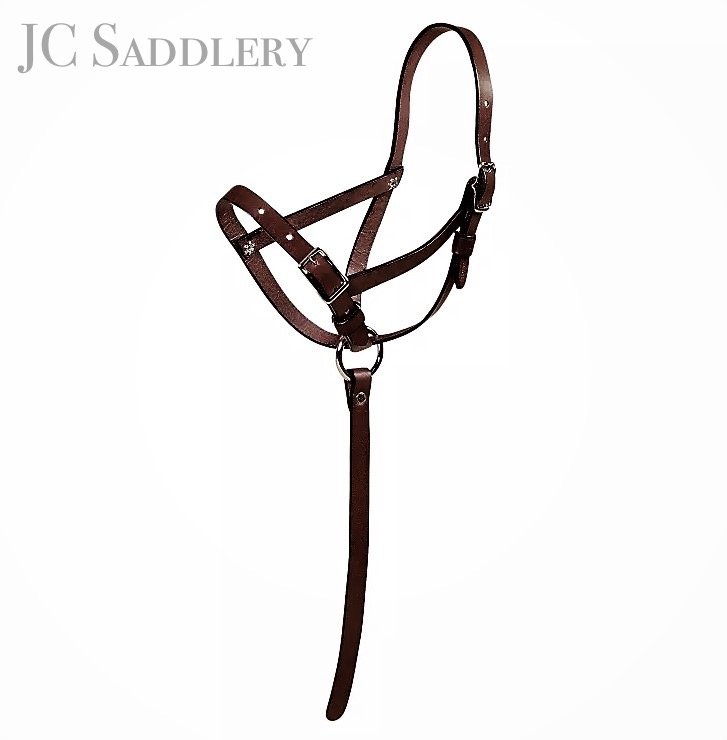 Leather Foal Slip Halter with Custom Engraved Nameplate