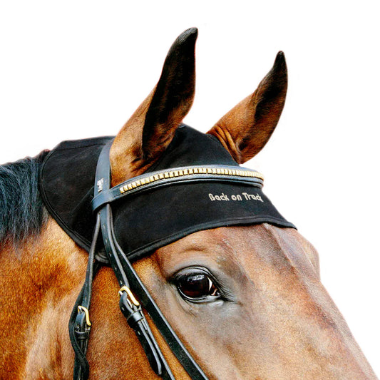 Back on Track Therapeutic Horse Head Cap