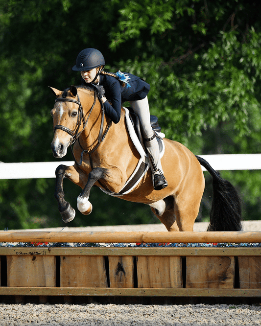Black Oak Laurel Hunter Bridle