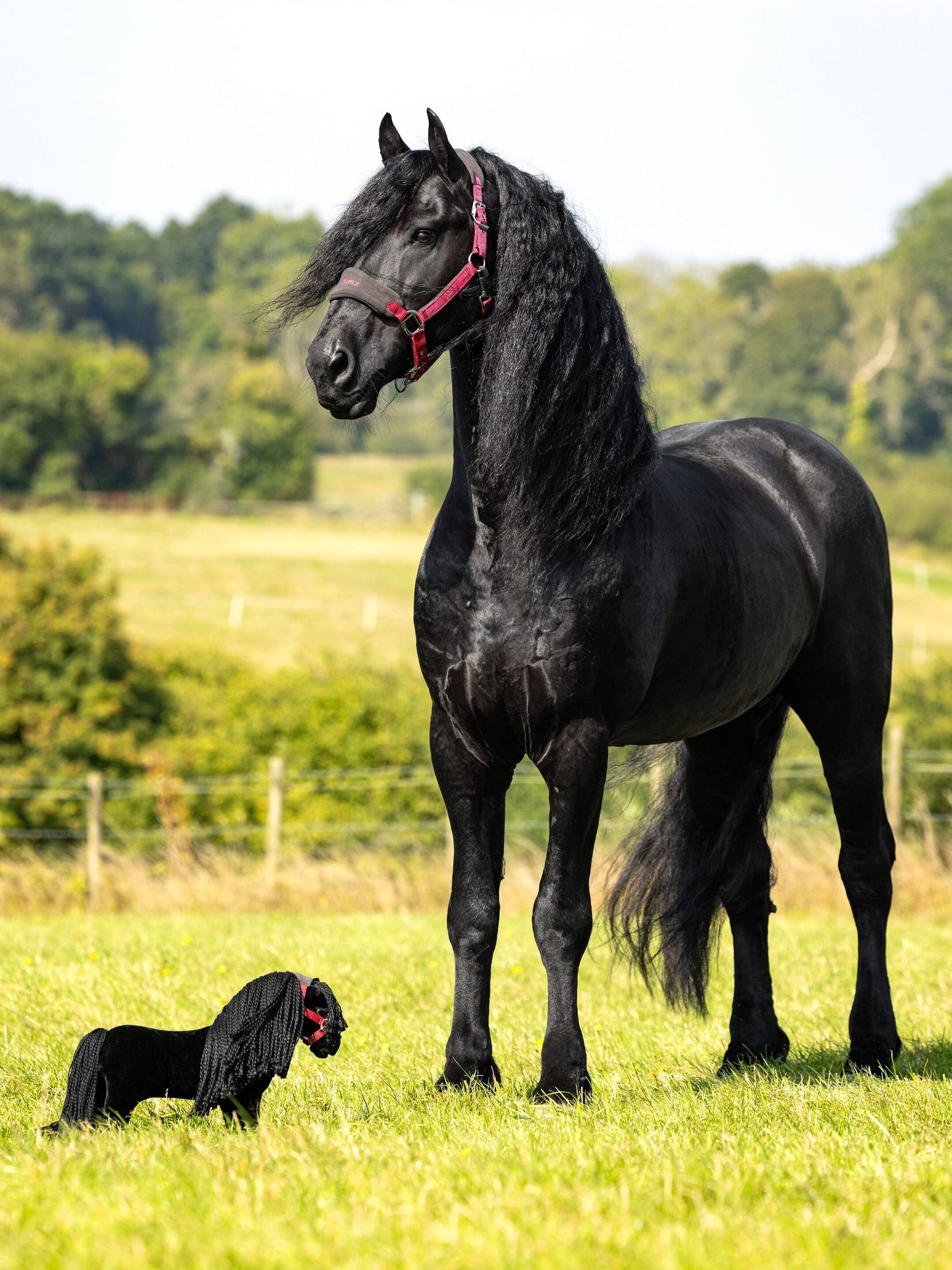 LeMieux Toy Ponies
