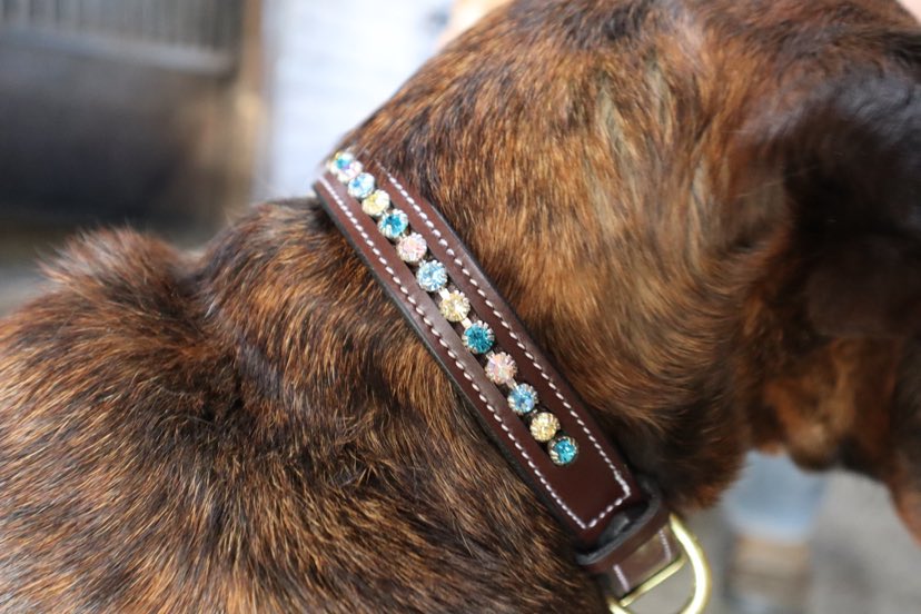 Crystal Embellished Dog Collars and Leashes