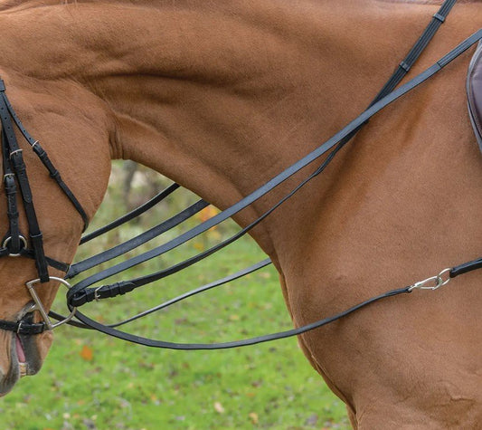 Avignon Leather Draw Reins