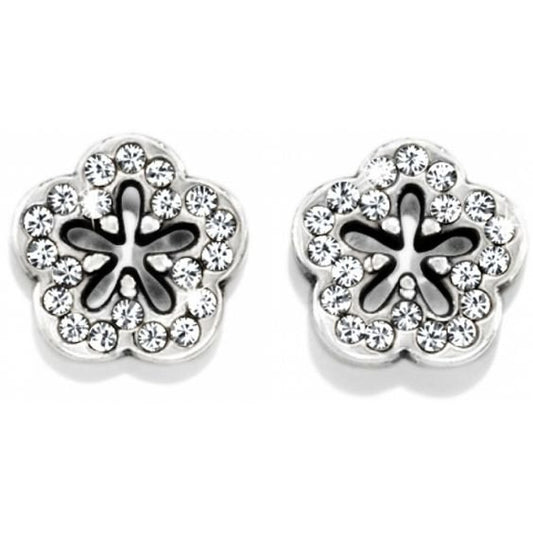 Infinity Flower Mini Post Earrings | Brighton