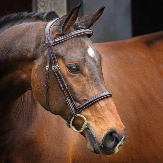 Lusso Hunter Cavesson Bridle