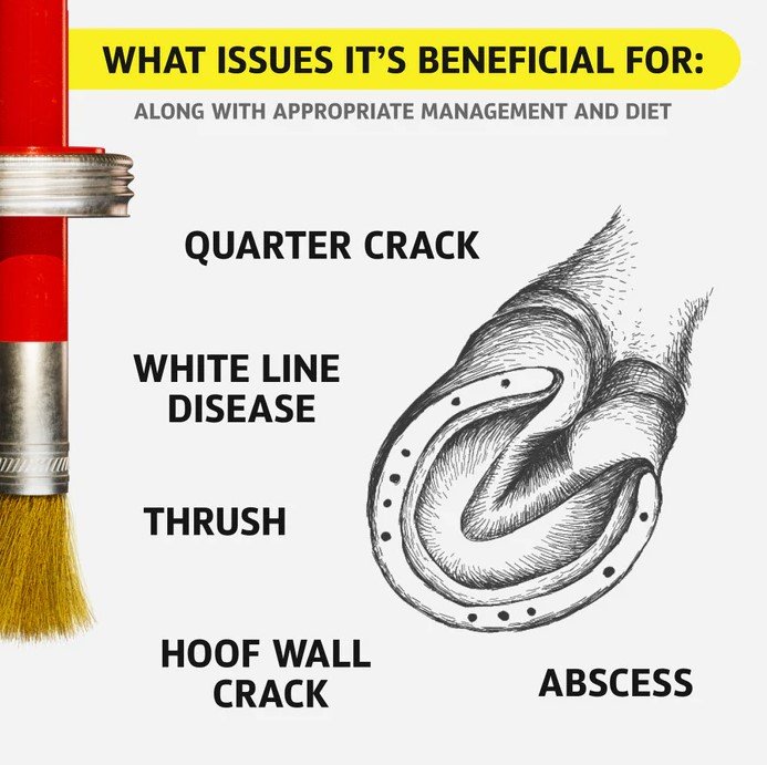 Equine One Natural Hoof Dressing