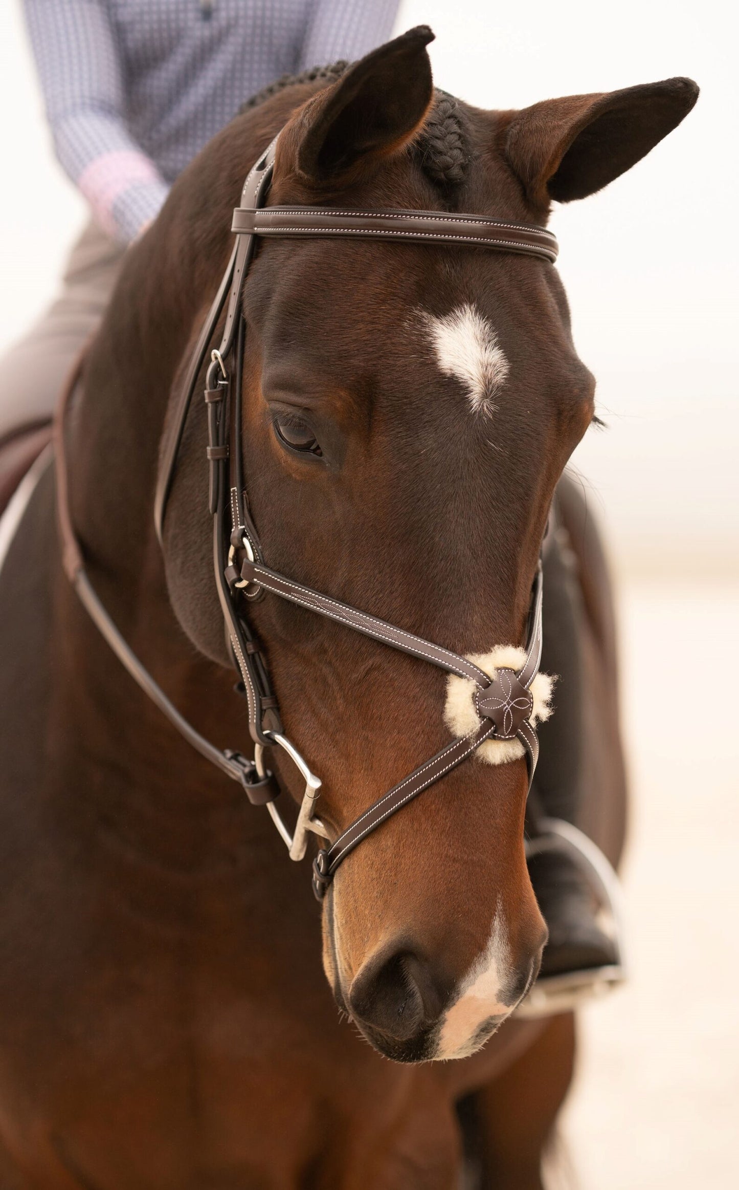 Black Oak Cedar Figure 8 Bridle