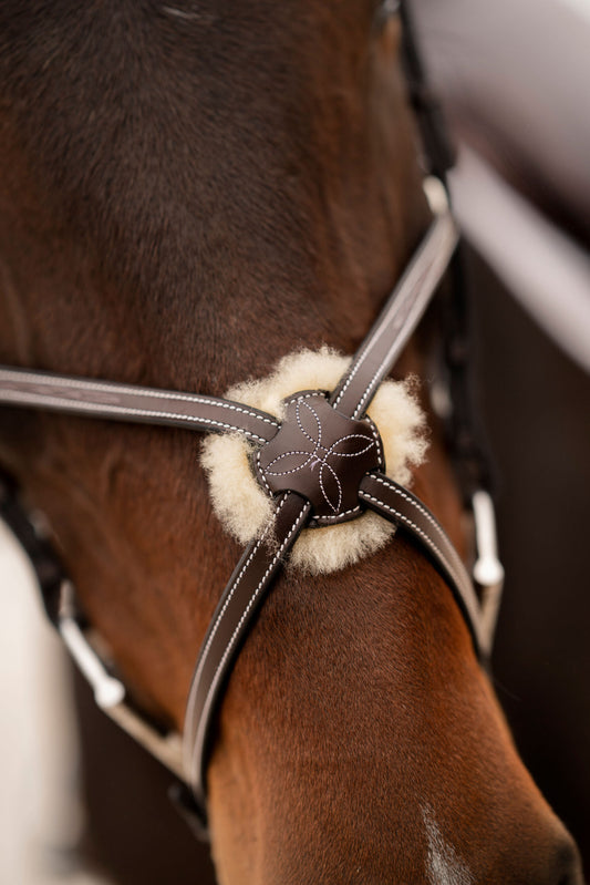Black Oak Cedar Figure 8 Bridle