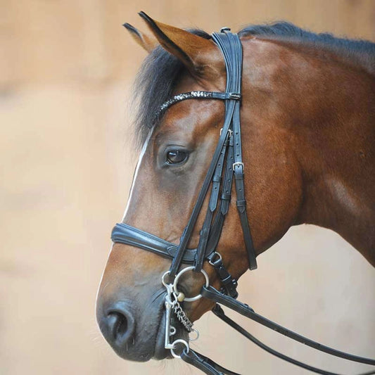 Kavalkade Ivonne Convertible Snaffle & Weymouth Bridle