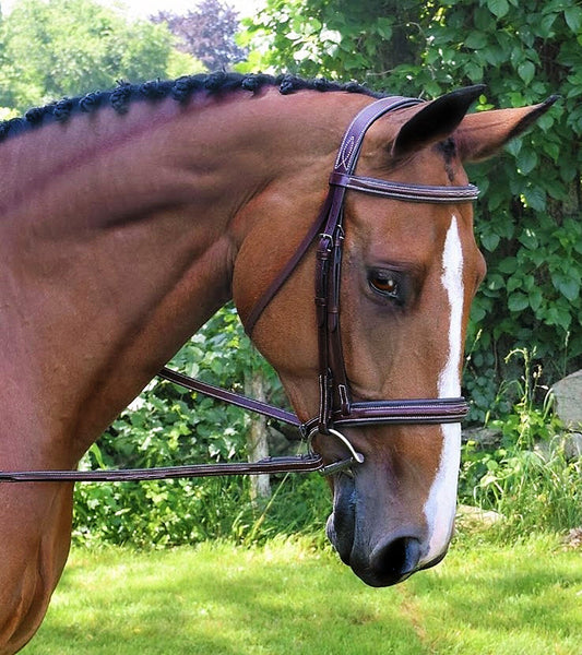 Black Oak Laurel Hunter Bridle