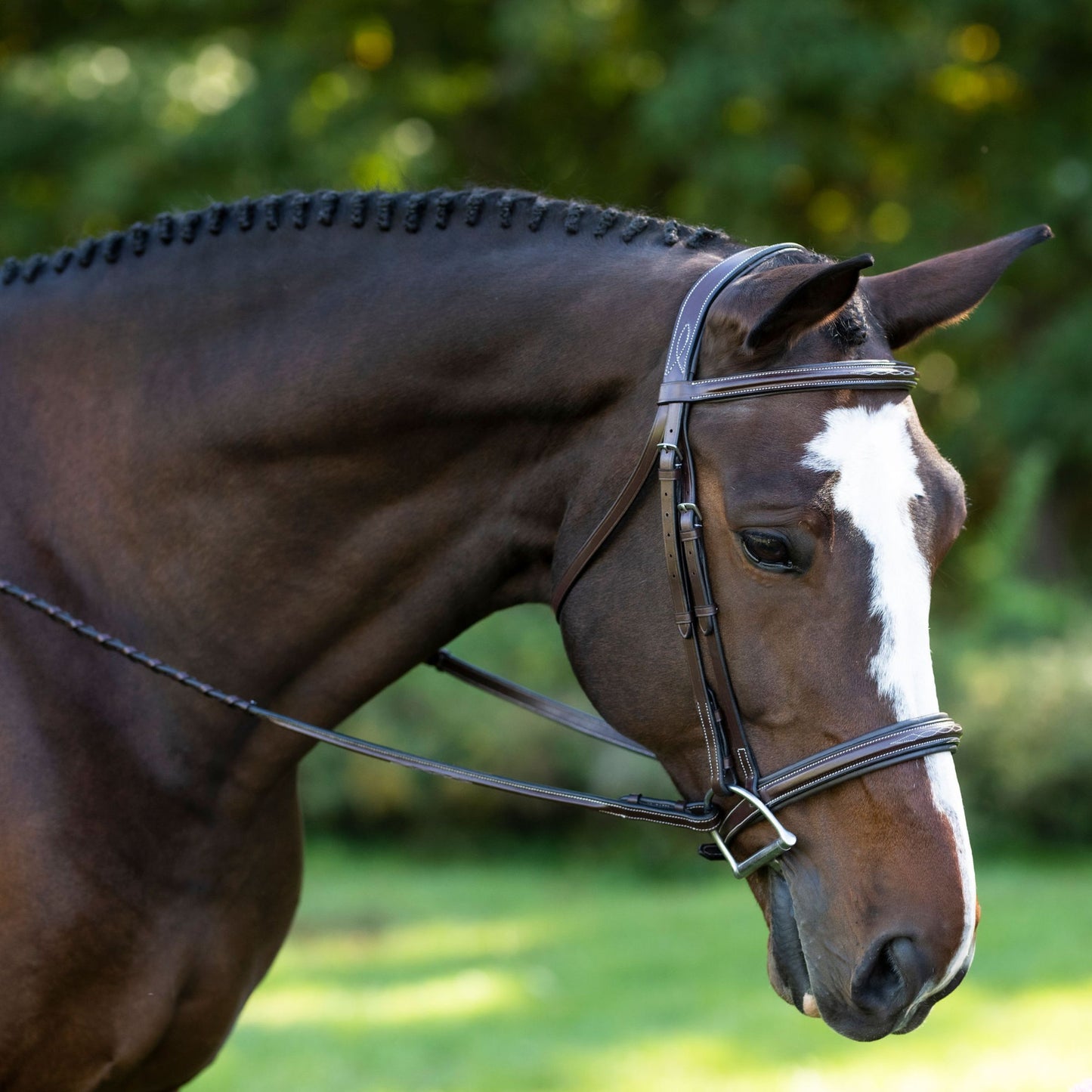 Black Oak Laurel Hunter Bridle