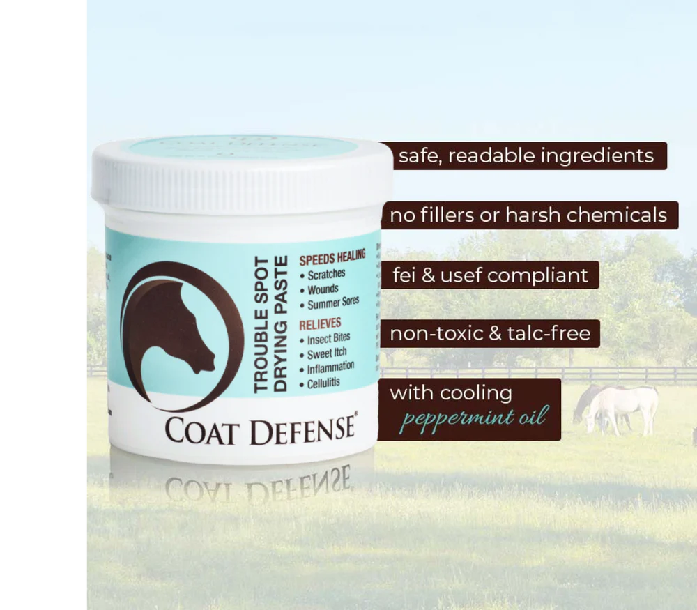 Coat Defense Trouble Spot Drying Paste