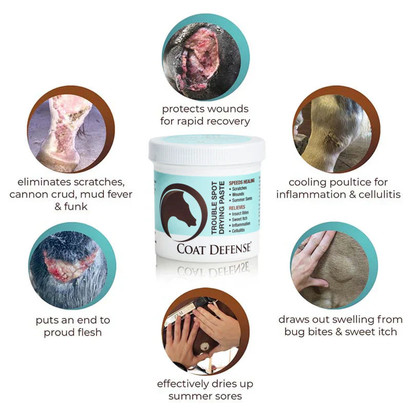 Coat Defense Trouble Spot Drying Paste
