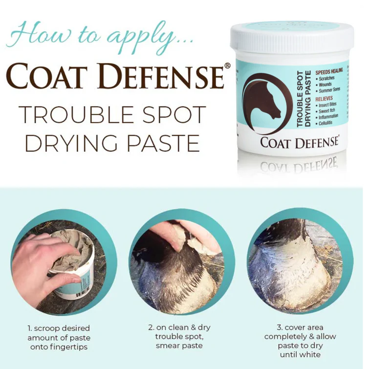 Coat Defense Trouble Spot Drying Paste