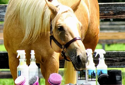 Equine Shield Natural Fly Spray