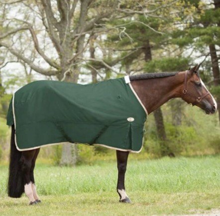 Big D Espree Rip-Stop Sheet