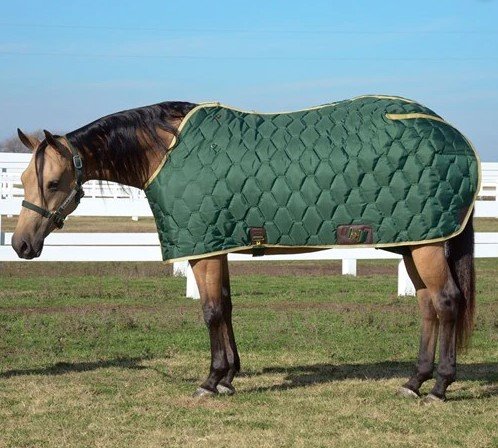 Big D All American Blanket