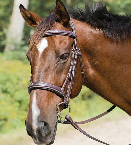 Avignon Wellington Bridle