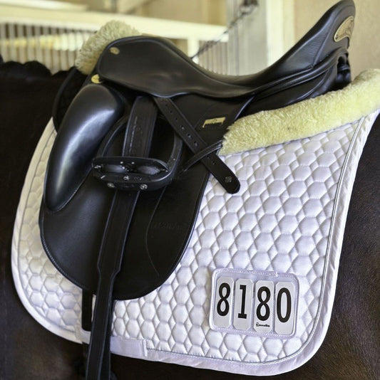 Cavallo Jolly Competition # Pad