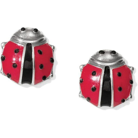 Spring Ladybug Mini Post Earrings | Brighton