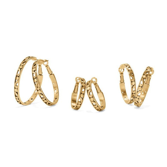 Contempo Scroll Hoops | Brighton