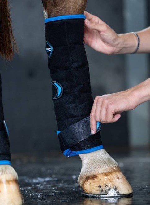 LeMieux Freeze Flow Ice Boot - Hind