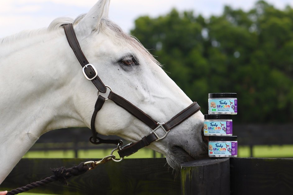Funky Unicorn Electrolye Cubes