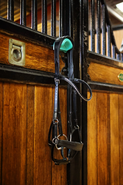 EquiHook Magnetic Bridle Hook