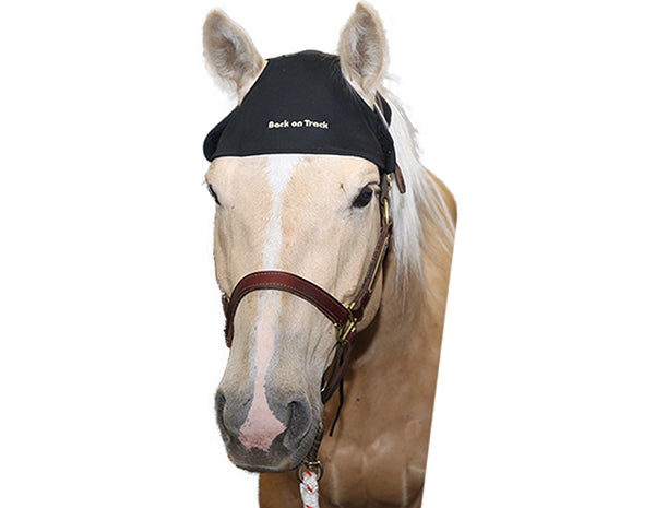 Back on Track Therapeutic Horse Head Cap