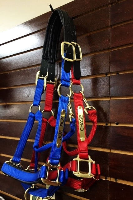 Padded Nylon Breakaway Halter with Custom Engraved Nameplate