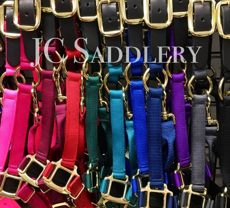 Padded Nylon Breakaway Halter with Custom Engraved Nameplate