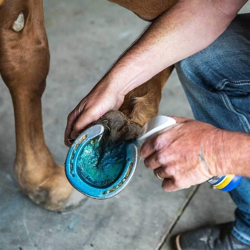 Vetericyn Hoof Care - 8 oz