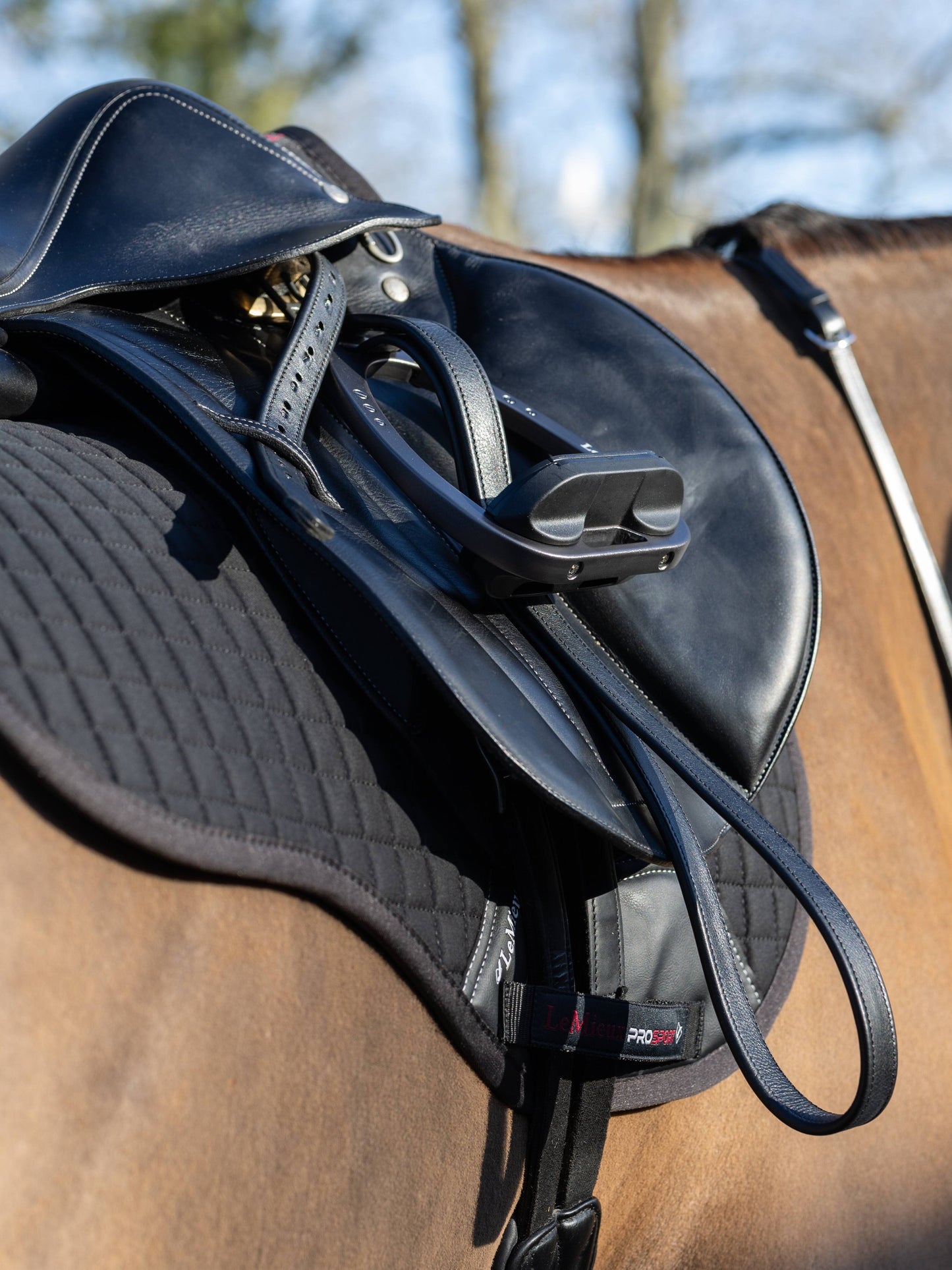 LeMieux Arika Stirrup Leathers