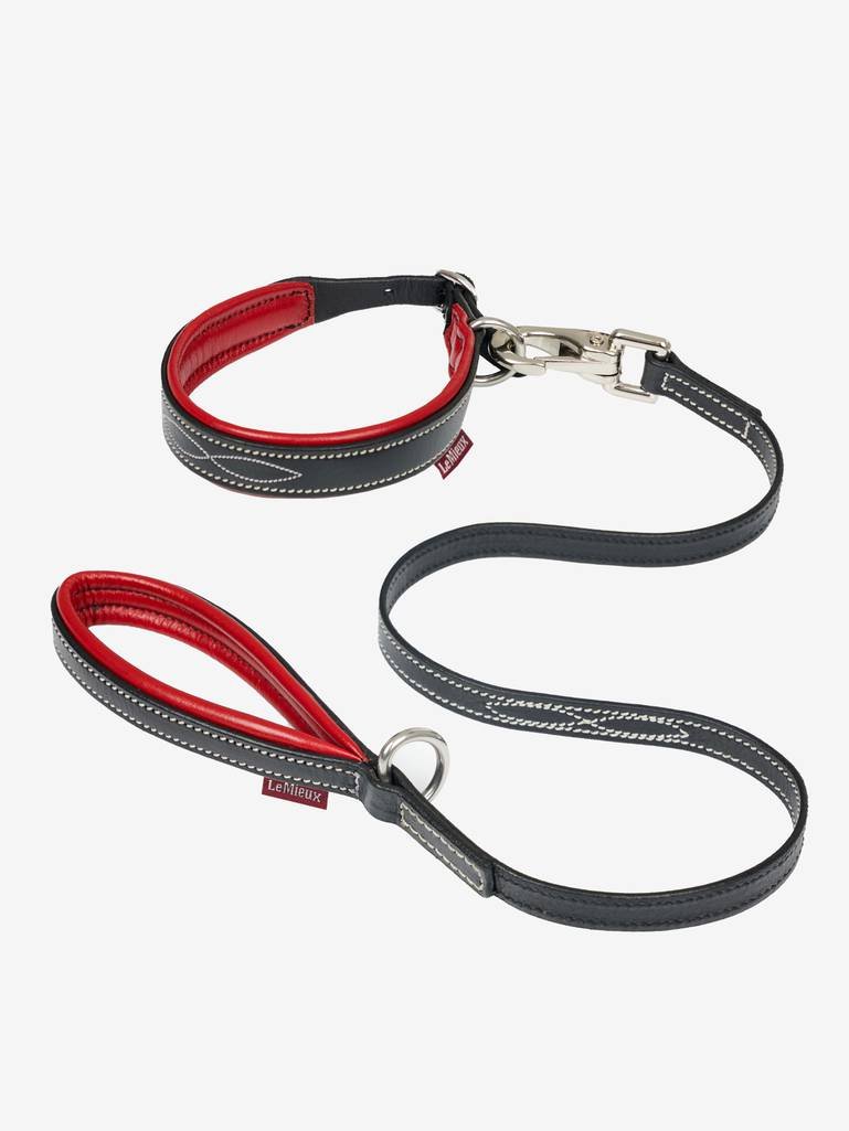 LeMieux Toy Puppy Collar & Leash