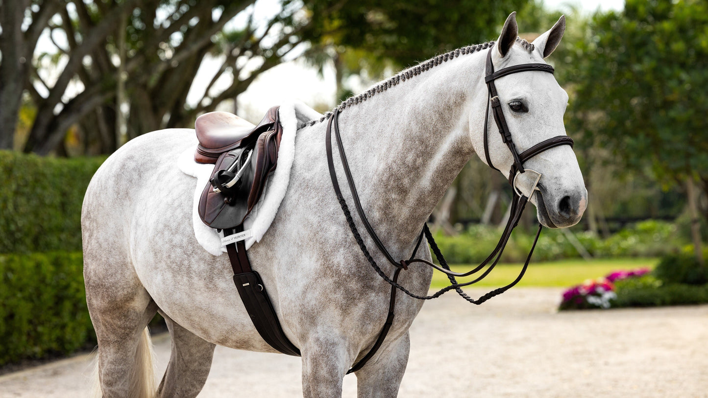LeMieux Merino+ Hunter Show Pad