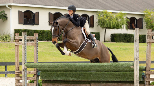 LeMieux Merino+ Hunter Show Pad