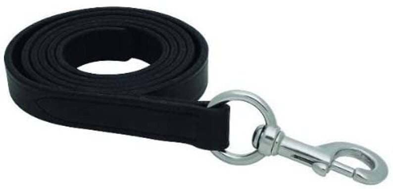 Leather Lead Rope with Custom Engraved Plate