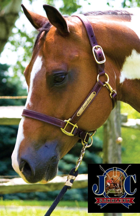 Traditional Leather Halter with Engraved Plate