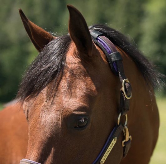 Benefab Therapeutic Poll Pad