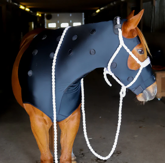 Benefab Rejuvenate SmartHood