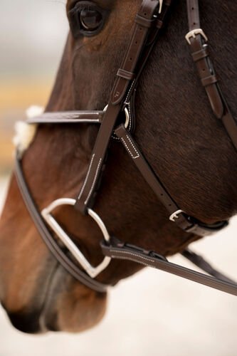 Black Oak Cedar Figure 8 Bridle