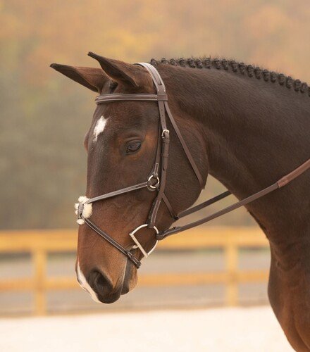 Black Oak Cedar Figure 8 Bridle