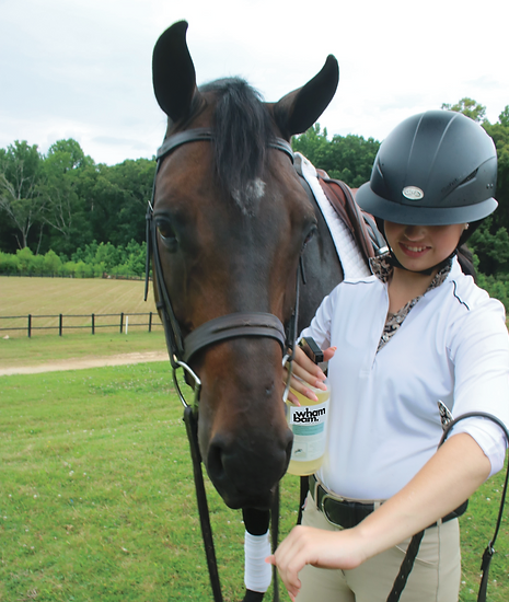 Wham Bam - Coat Repellent & Natural Fly Spray