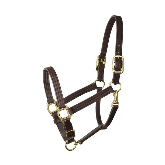 Traditional Leather Halter with Engraved Plate
