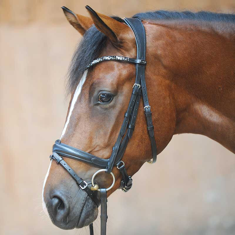 Kavalkade Ivonne Convertible Snaffle & Weymouth Bridle