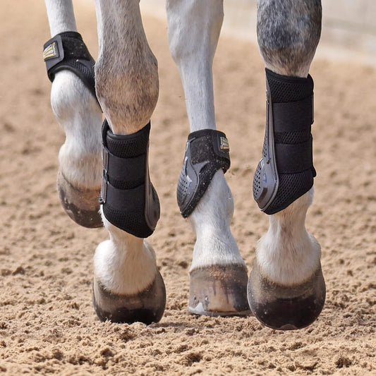 ARMA OXI-ZONE Fetlock Boot